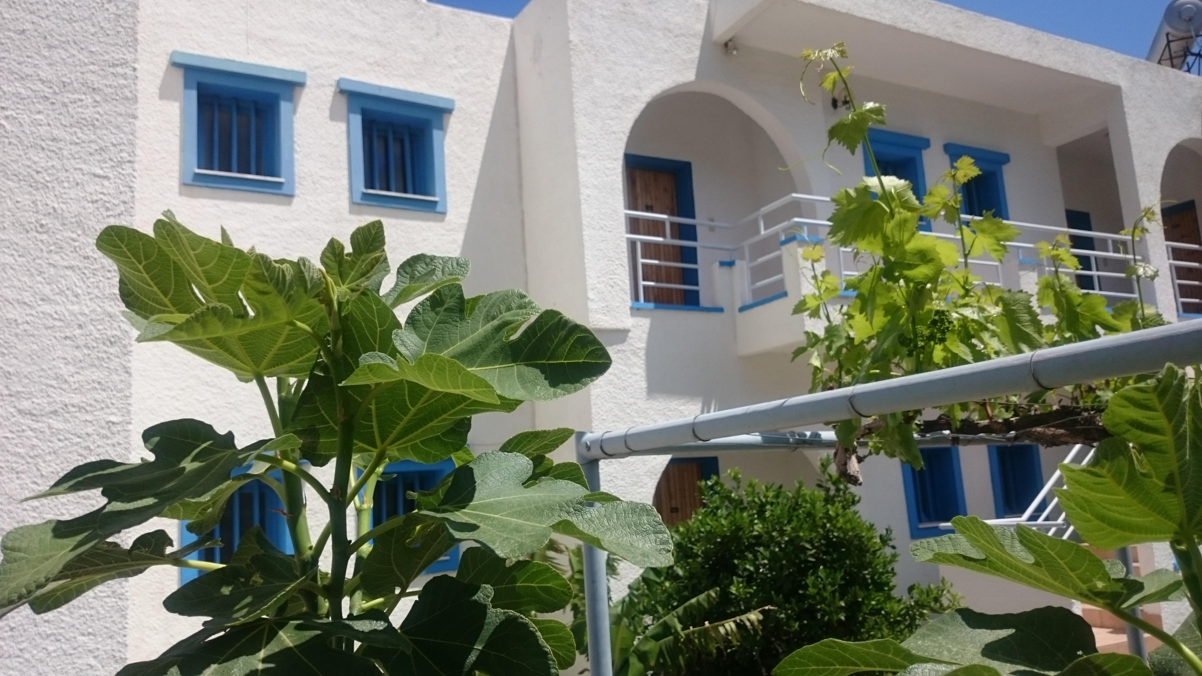 Amazones Villas Apartments Херсониссос Экстерьер фото