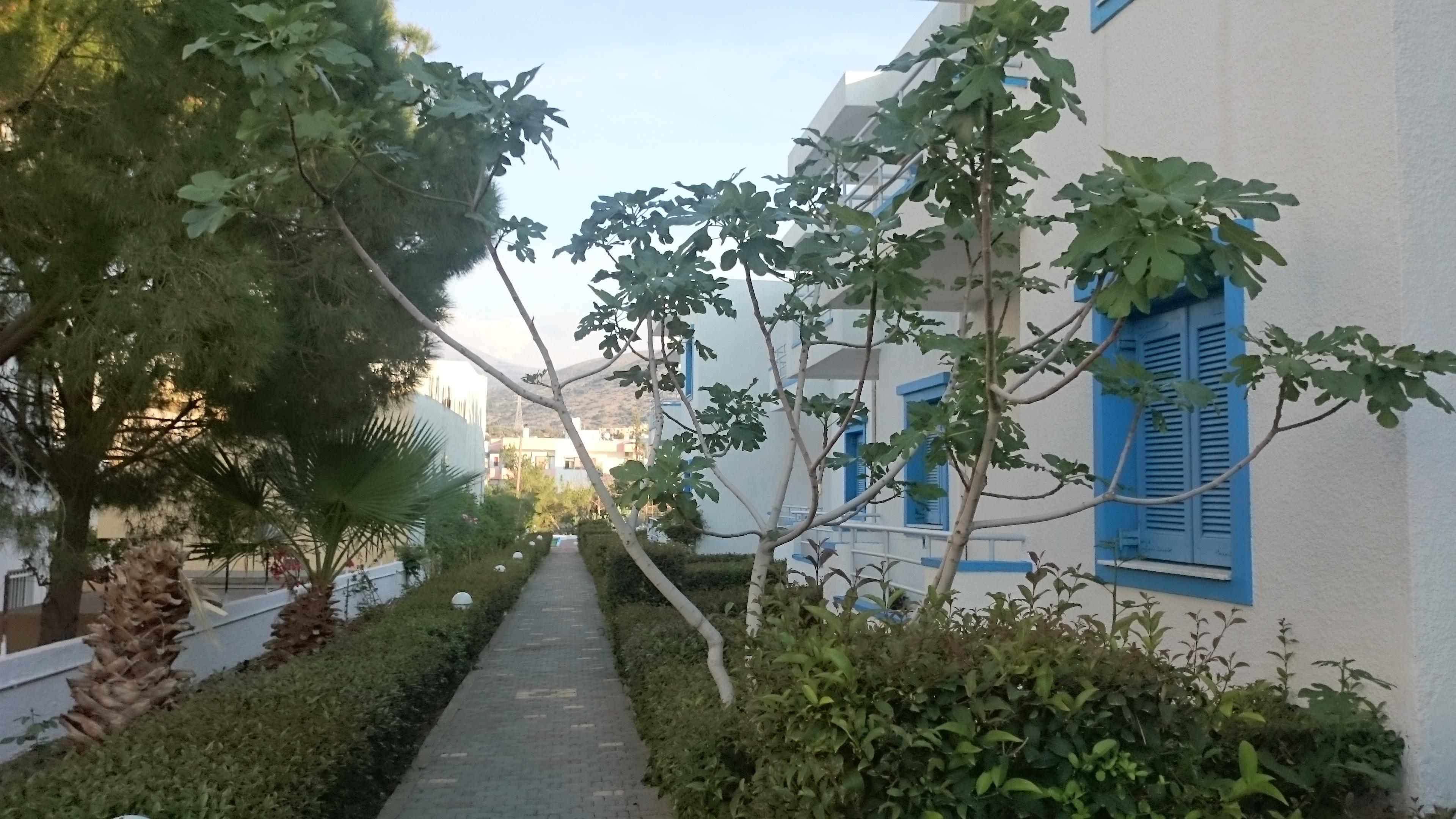 Amazones Villas Apartments Херсониссос Экстерьер фото